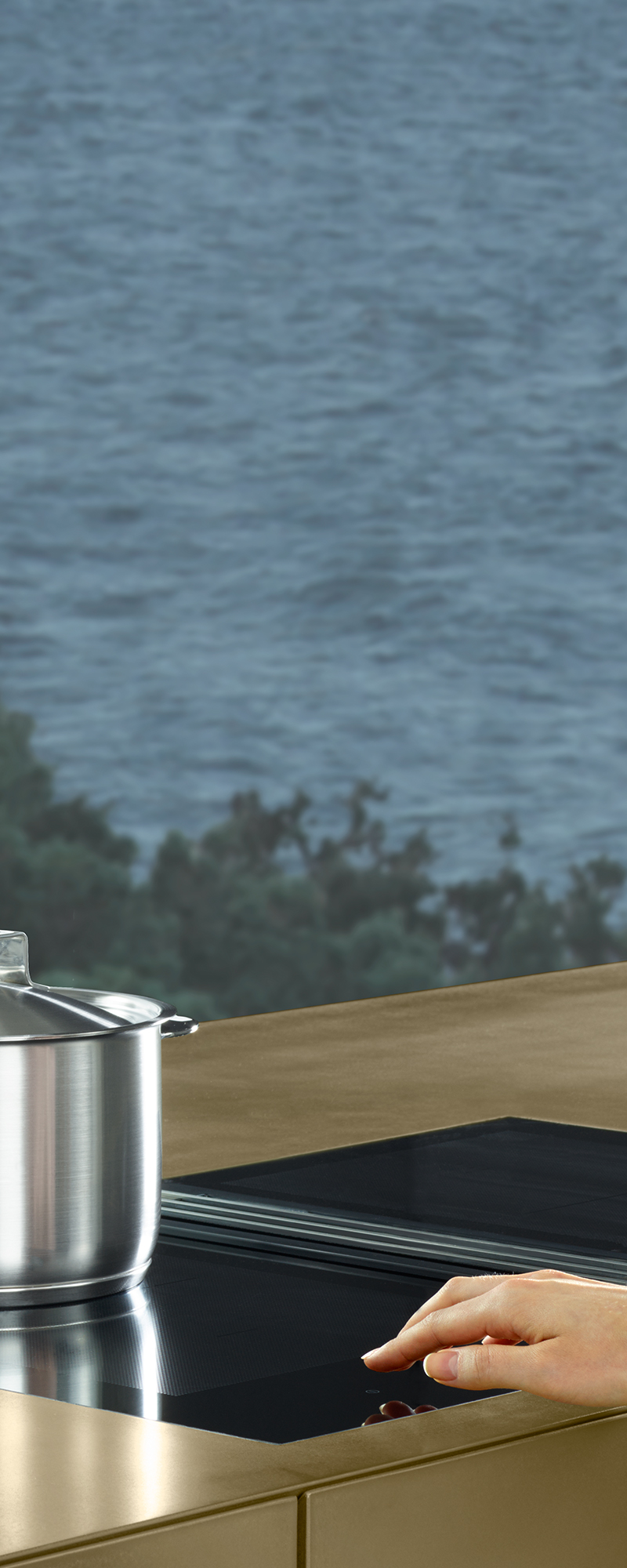 Miele TwoInOne Integrated Extractor Miele