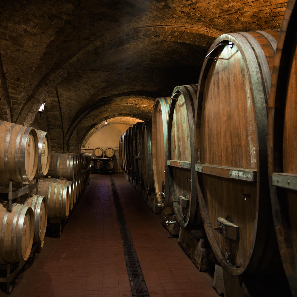 Miele wine fridges The quality is in the storage